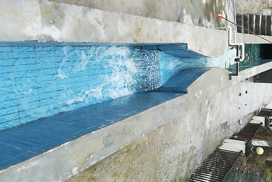 經過一體化生活污水處理設備處理后水質圖